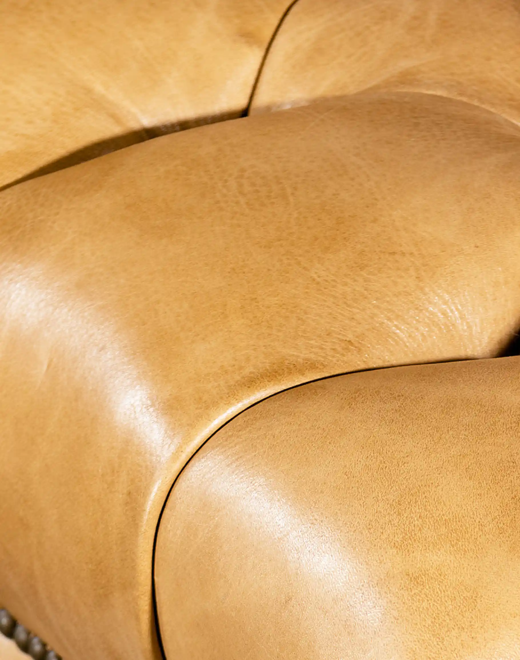 American Bison Chair - Image 12