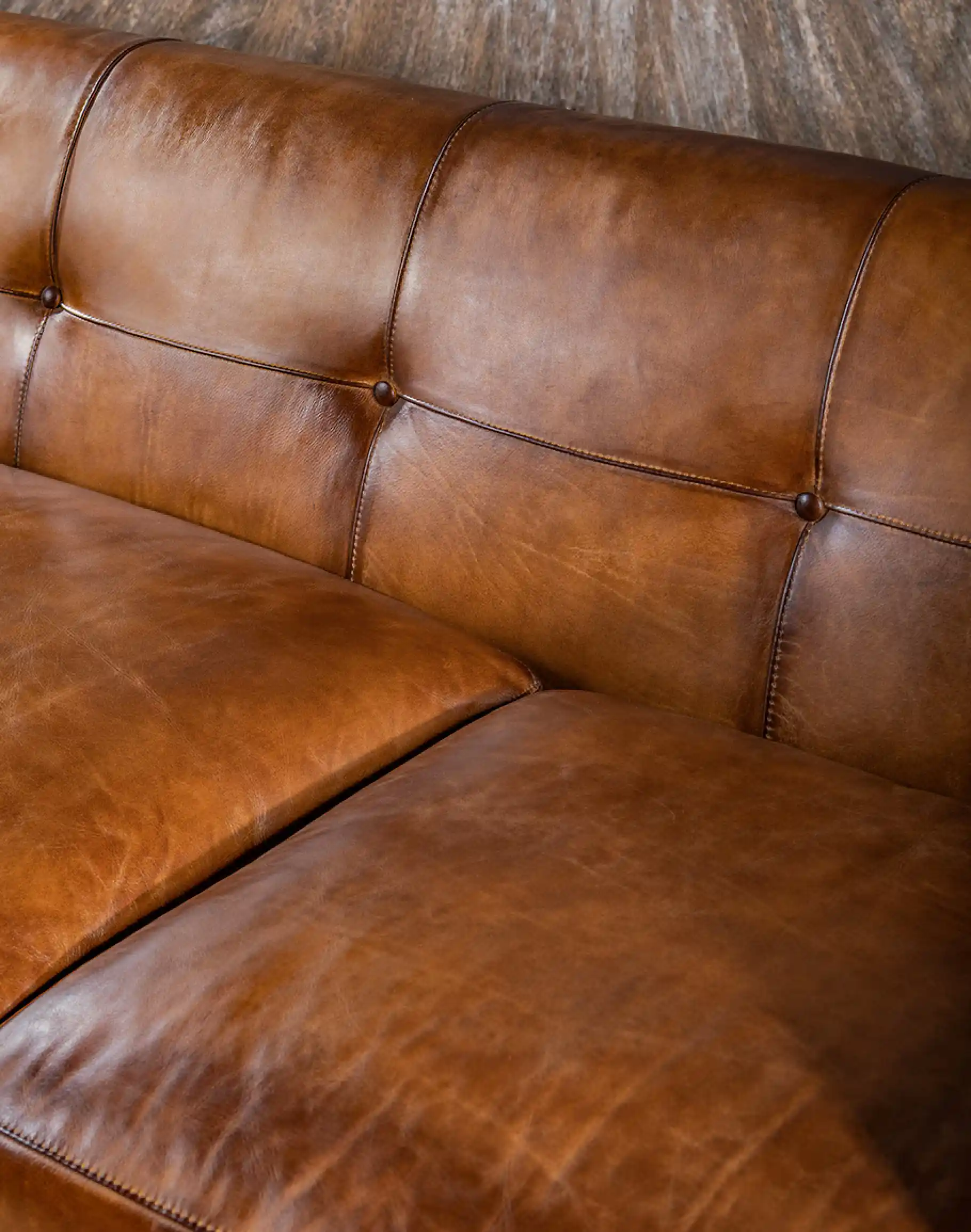 Baccarat Leather Sofa - Image 6