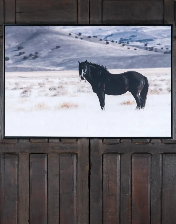 Black Sands Framed Art