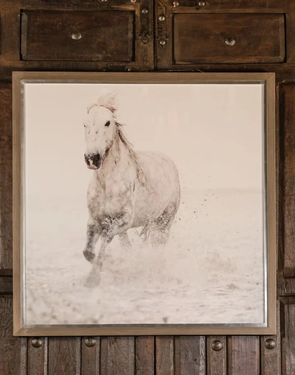 Running Wild Framed Print