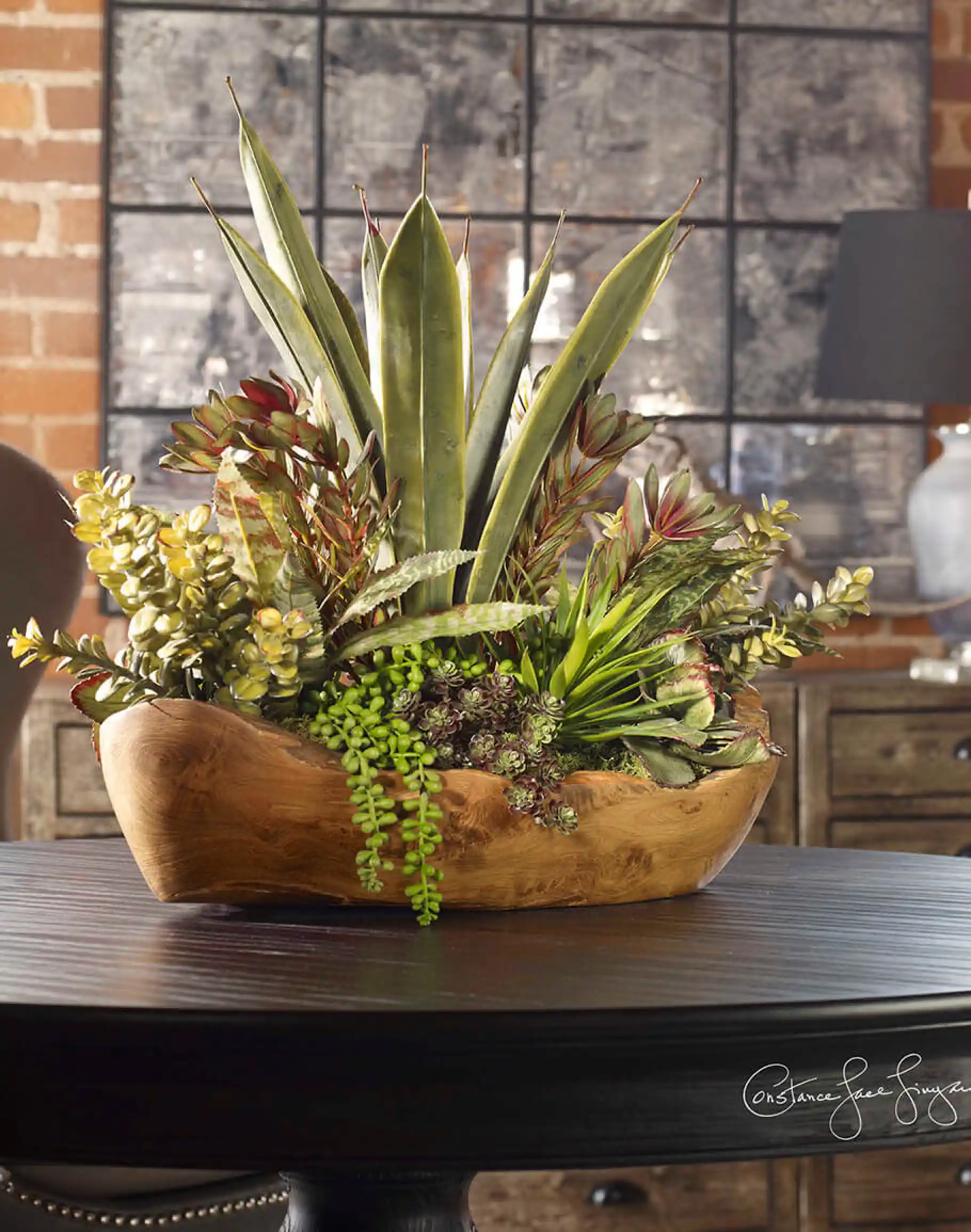 Salar Succulents